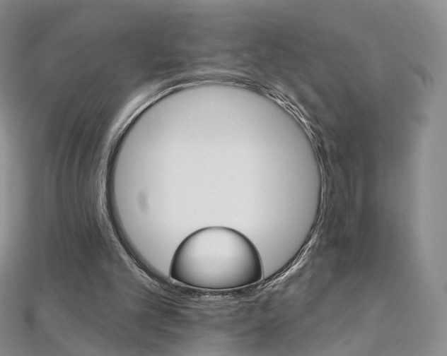 X0000112480101200908171021