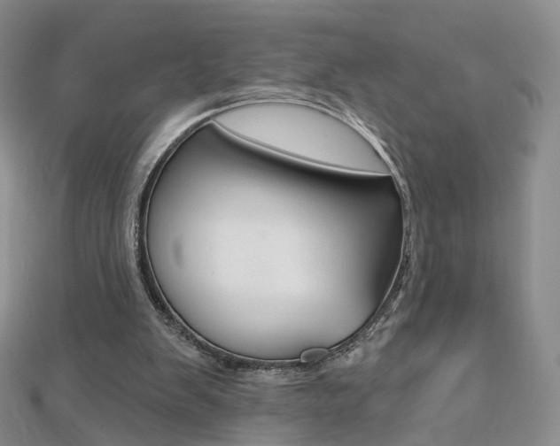 X0000112480103200908171021
