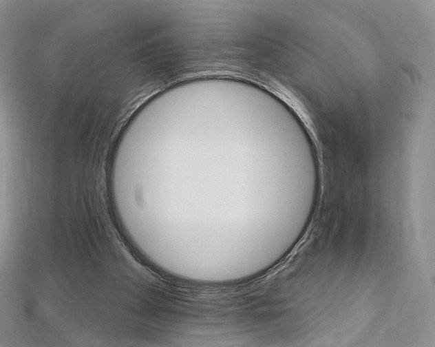 X0000112480105200908171021