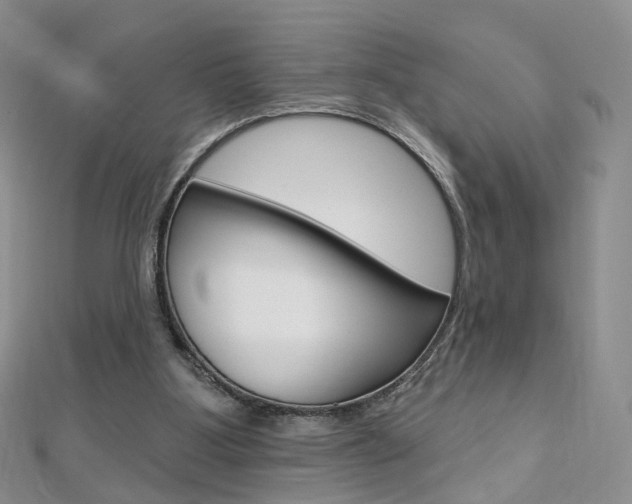 X0000112480107200908171021