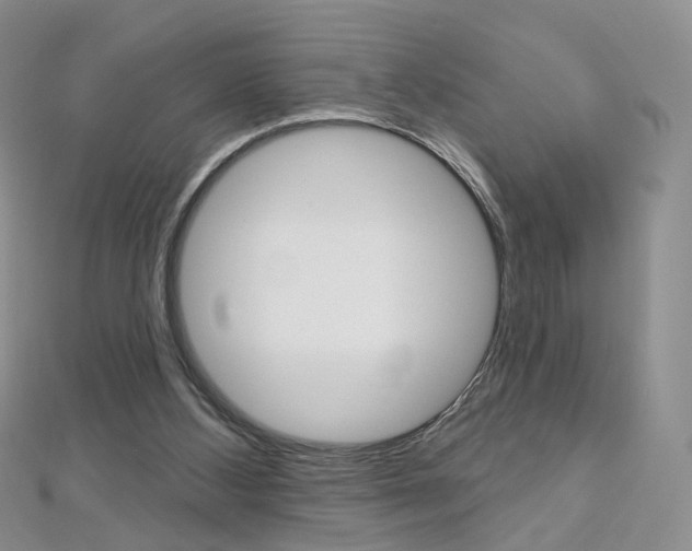 X0000112480108200908171021
