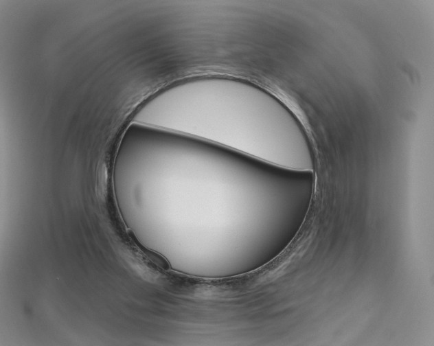 X0000112480109200908171021