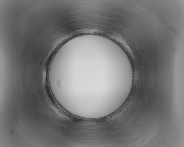 X0000112480110200908171021