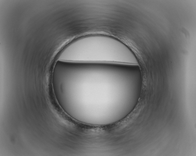 X0000112480112200908171021
