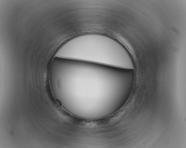 X0000112480113200908171021
