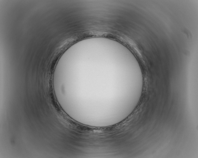 X0000112480114200908171021