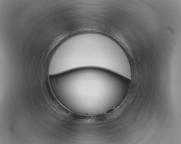 X0000112480116200908171021