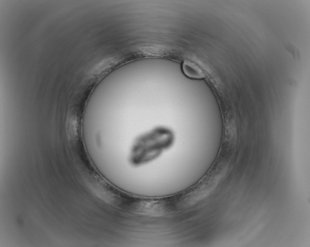 X0000112480117200908171021
