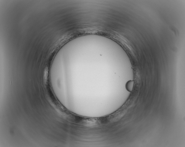 X0000112480118200908171021
