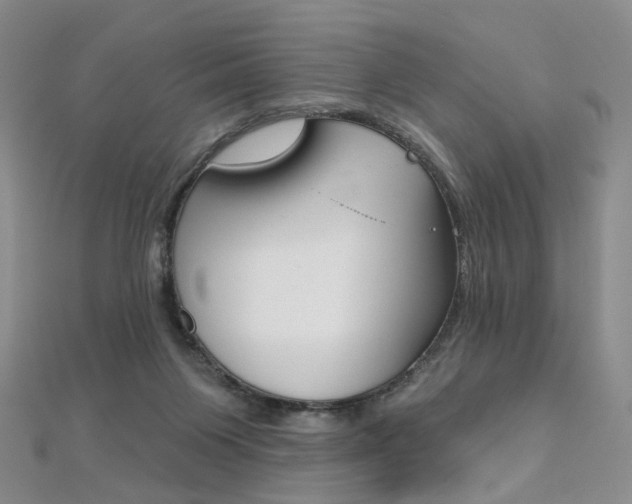 X0000112480119200908171021