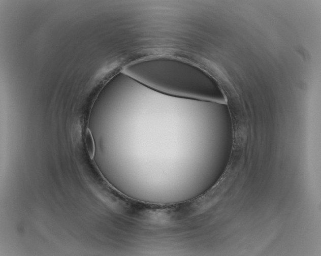 X0000112480120200908171021