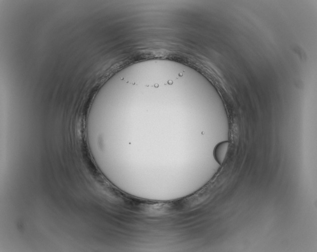 X0000112480122200908171021