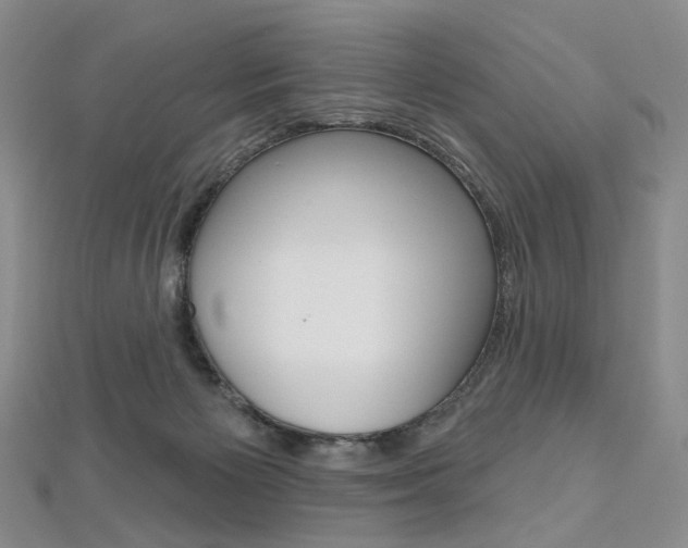 X0000112480125200908171021