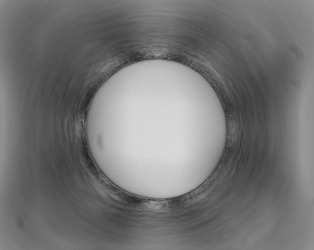 X0000112480126200908171021