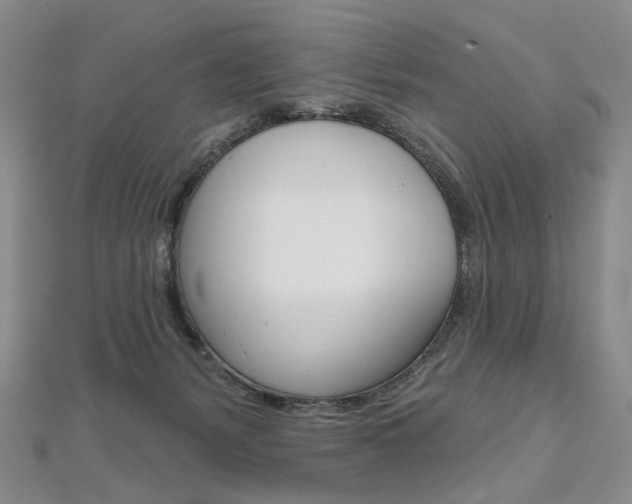 X0000112480127200908171021