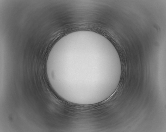 X0000112480128200908171021