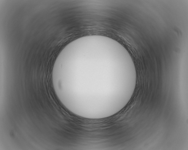 X0000112480129200908171021