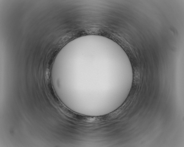 X0000112480130200908171021