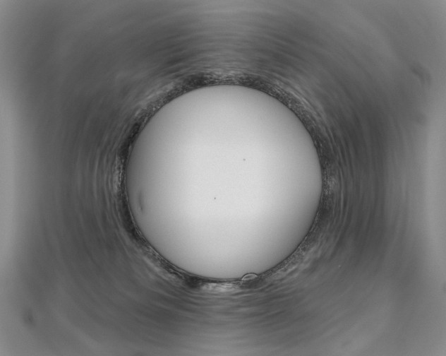 X0000112480133200908171021