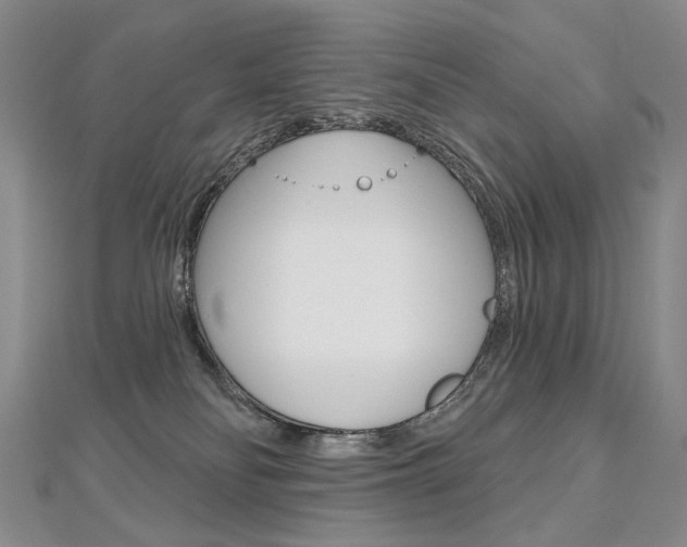 X0000112480134200908171021