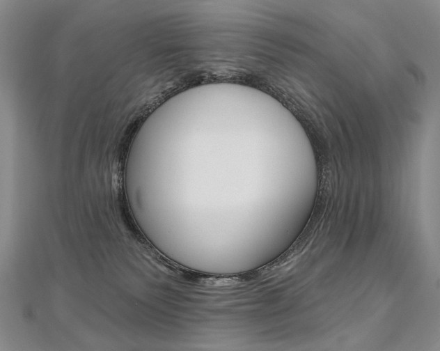 X0000112480135200908171021