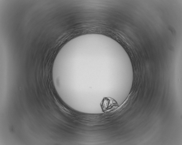 X0000112480136200908171021