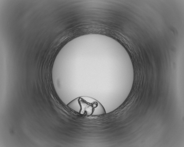 X0000112480137200908171020