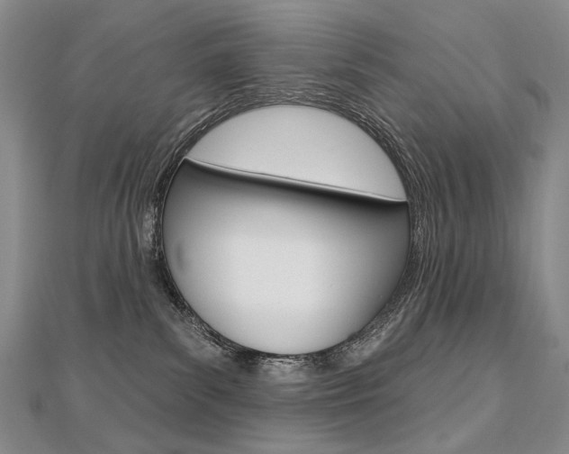 X0000112480139200908171020