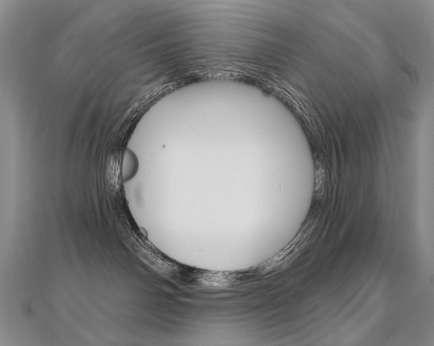 X0000112480142200908171020