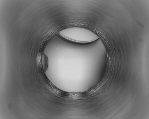 X0000112480143200908171020