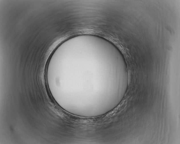 X0000112480147200908171020