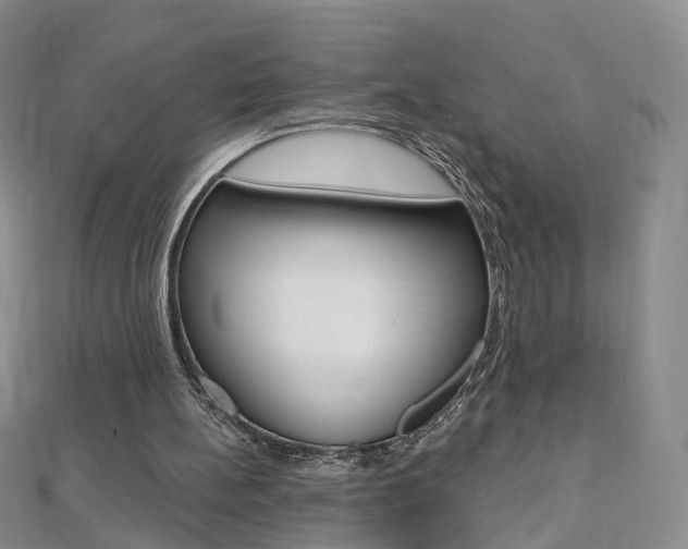 X0000112480148200908171020
