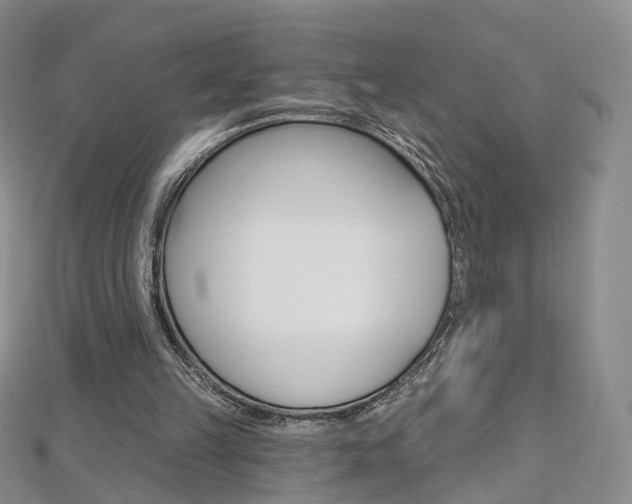 X0000112480149200908171020