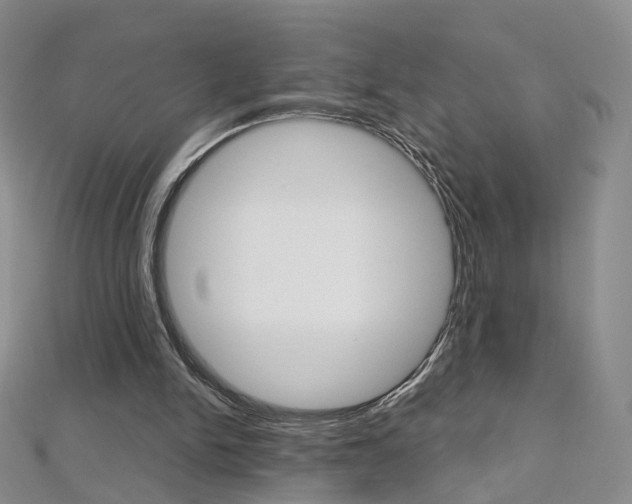 X0000112480150200908171020