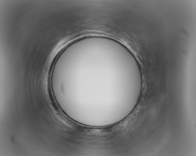 X0000112480151200908171020