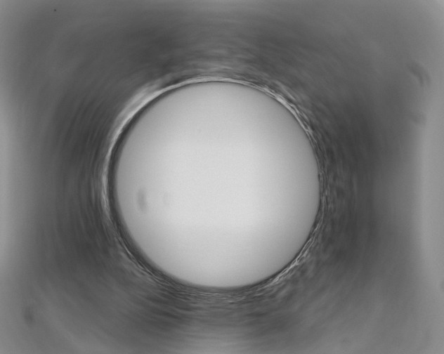 X0000112480152200908171020