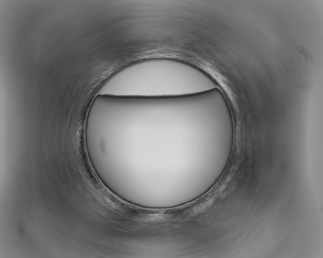 X0000112480153200908171020