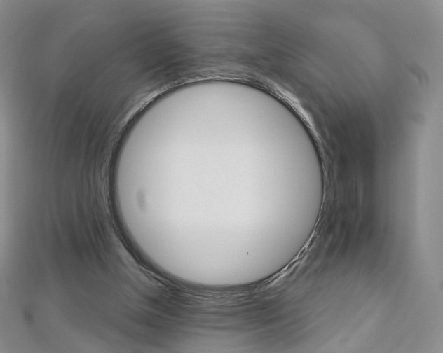 X0000112480154200908171020
