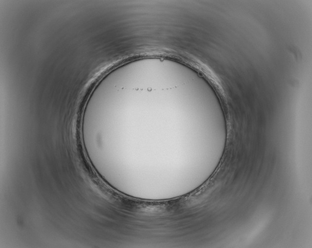 X0000112480155200908171020