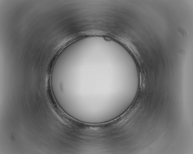 X0000112480157200908171020