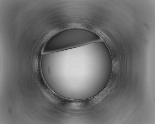 X0000112480158200908171020