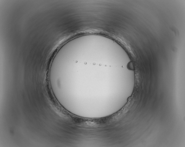 X0000112480159200908171020