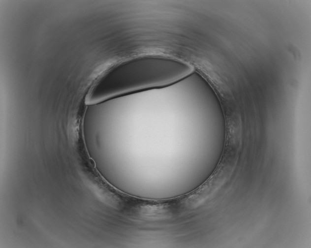 X0000112480160200908171020