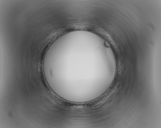 X0000112480161200908171020