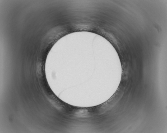 X0000112480162200908171020