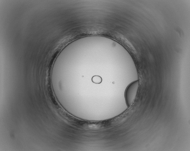 X0000112480163200908171020