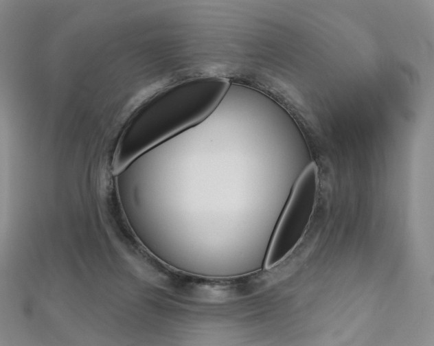 X0000112480164200908171020