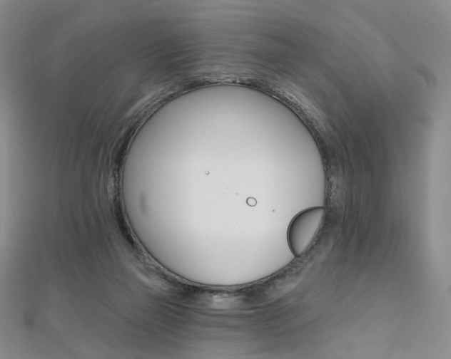 X0000112480165200908171020