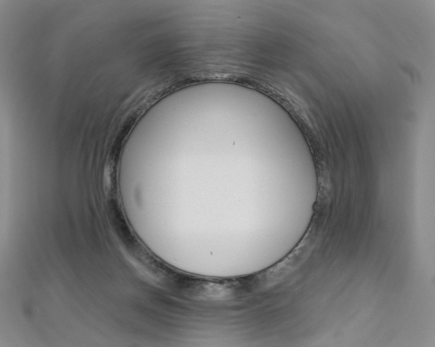 X0000112480166200908171020