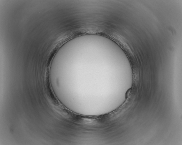 X0000112480167200908171020